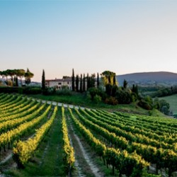 Tuscany Mormoraia
